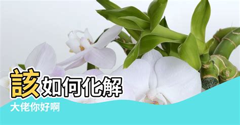 穿堂風如何化解|陽宅第一煞~「穿堂煞」的4招破解方法 